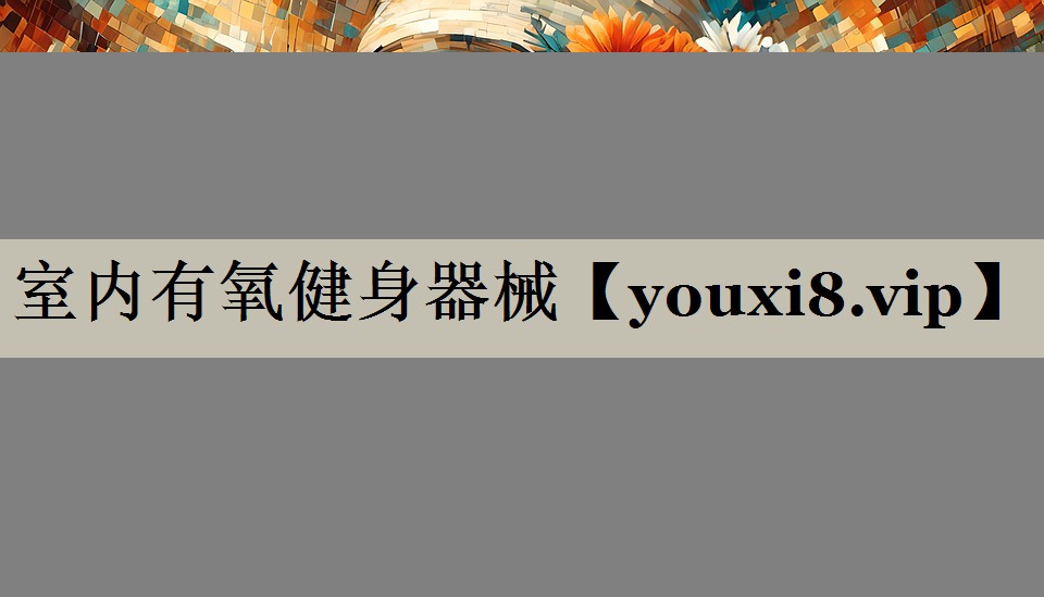 室内有氧健身器械