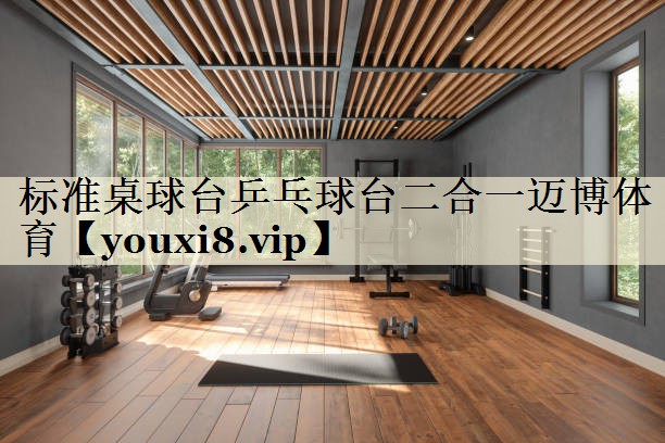 标准桌球台乒乓球台二合一迈博体育
