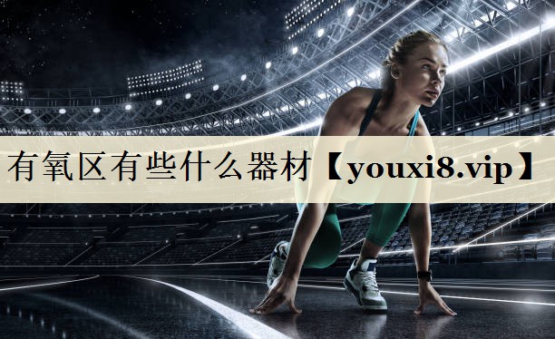 <strong>有氧区有些什么器材</strong>
