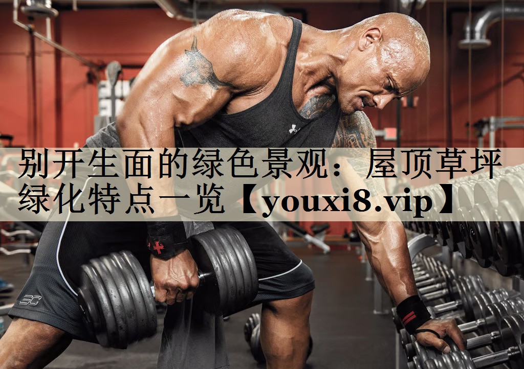 别开生面的绿色景观：屋顶草坪绿化特点一览