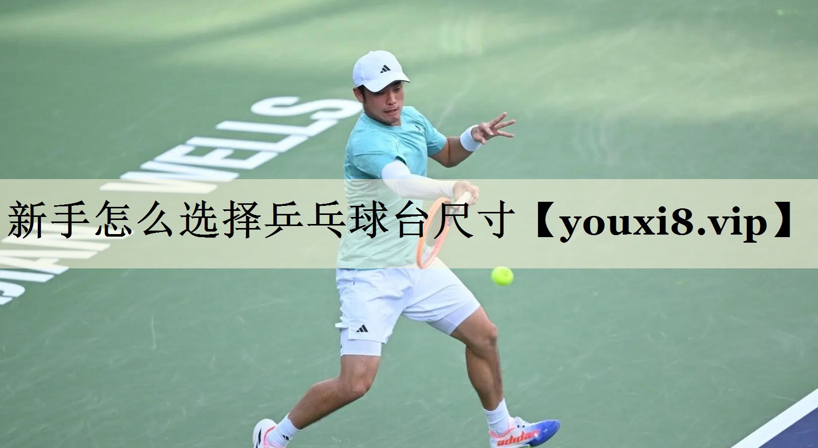 <strong>新手怎么选择乒乓球台尺寸</strong>