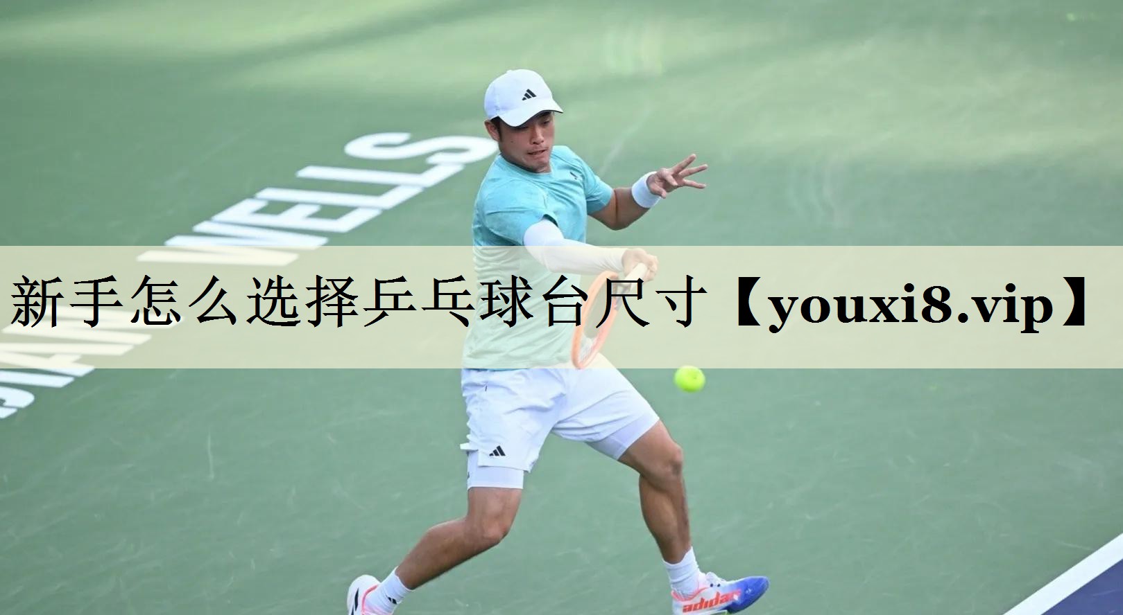 新手怎么选择乒乓球台尺寸